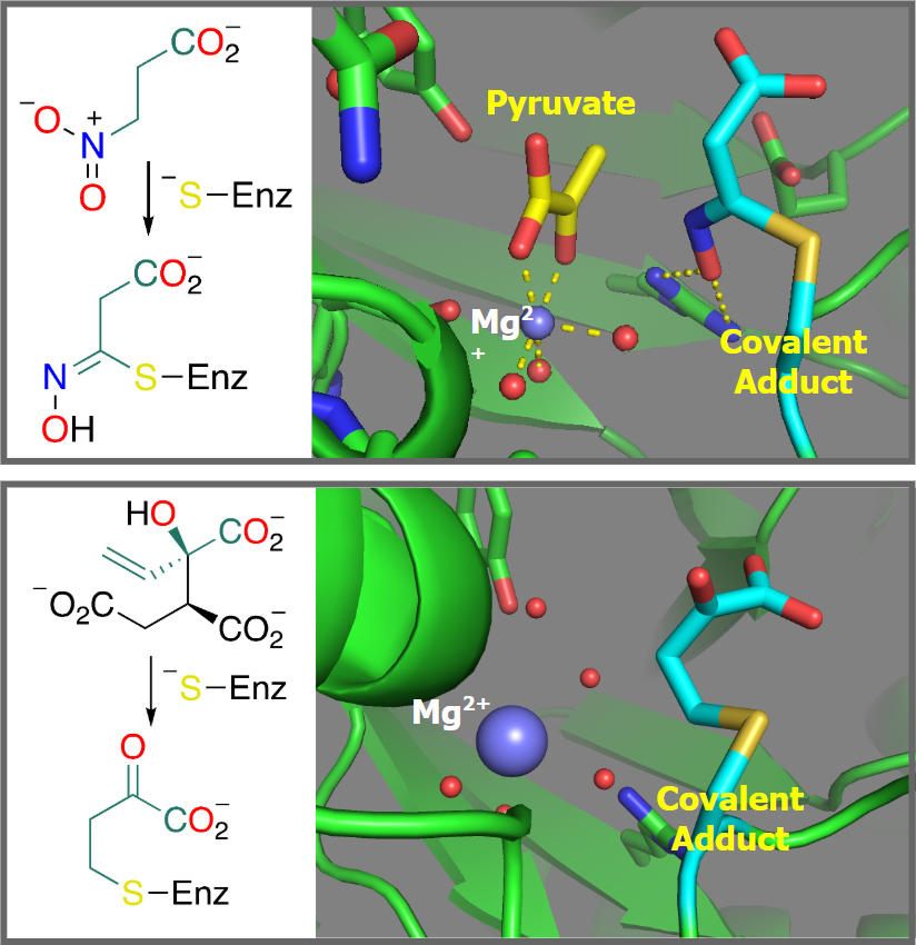 Covalent-inhibitors